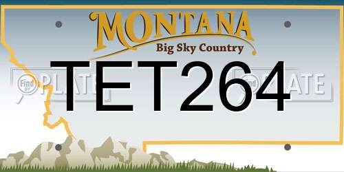 TET264 Montana License Plate