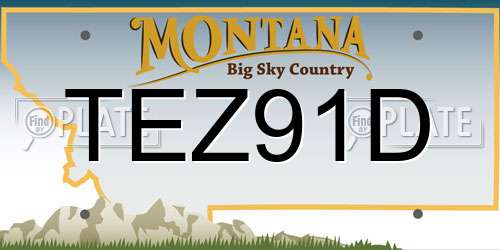 TEZ91D Montana License Plate
