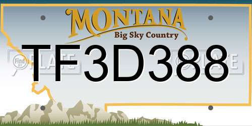 TF3D388 Montana License Plate