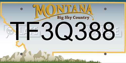 TF3Q388 Montana License Plate