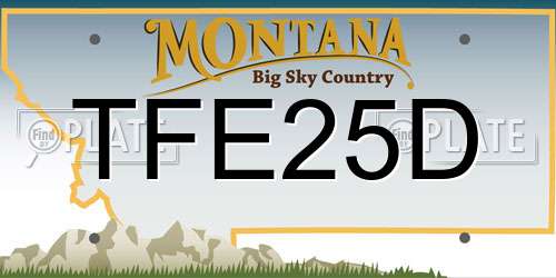TFE25D Montana License Plate