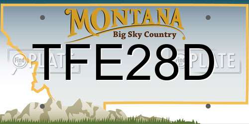 TFE28D Montana License Plate