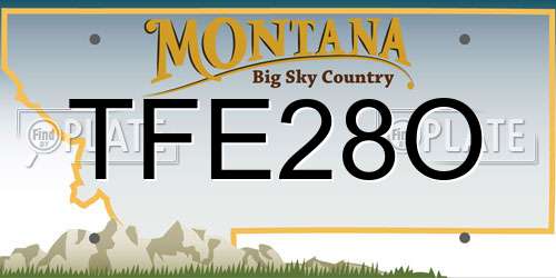 TFE28O Montana License Plate
