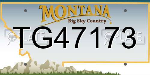 TG47173 Montana License Plate