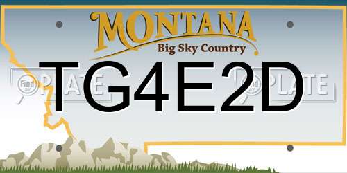 TG4E2D Montana License Plate