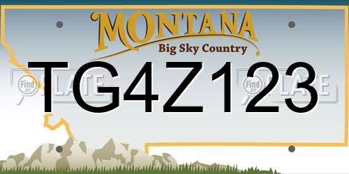 TG4Z123 Montana License Plate