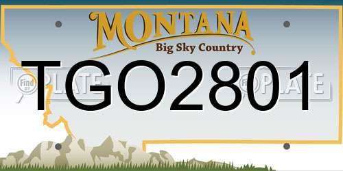 TGO2801 Montana License Plate