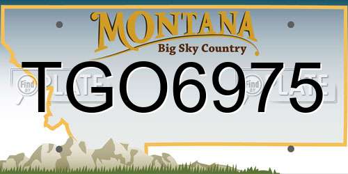 TGO6975 Montana License Plate