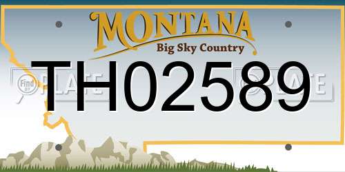 TH02589 Montana License Plate