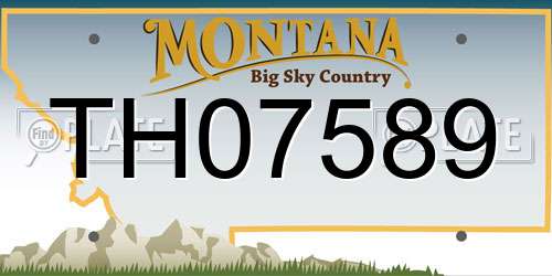 TH07589 Montana License Plate