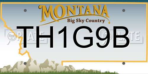 TH1G9B Montana License Plate