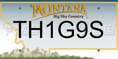 TH1G9S Montana License Plate