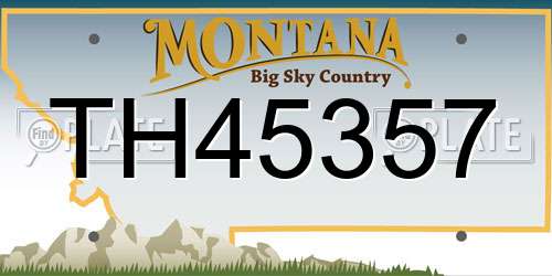 TH45357 Montana License Plate