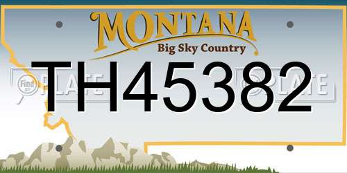 TH45382 Montana License Plate