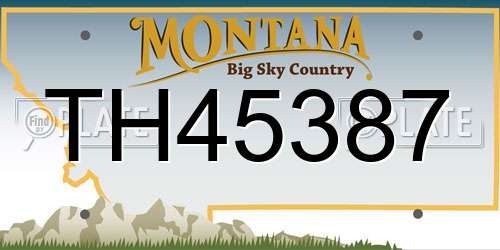 TH45387 Montana License Plate