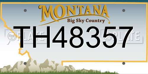 TH48357 Montana License Plate