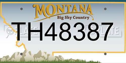 TH48387 Montana License Plate