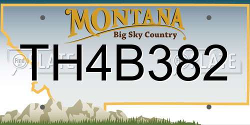 TH4B382 Montana License Plate
