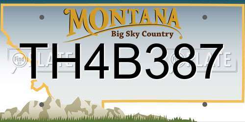 TH4B387 Montana License Plate