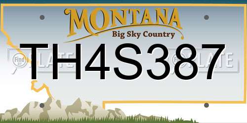 TH4S387 Montana License Plate