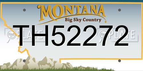 TH52272 Montana License Plate