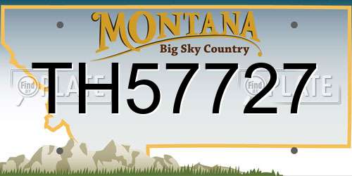 TH57727 Montana License Plate