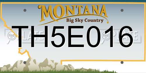 TH5E016 Montana License Plate