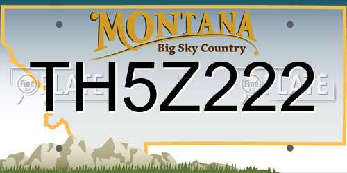 TH5Z222 Montana License Plate