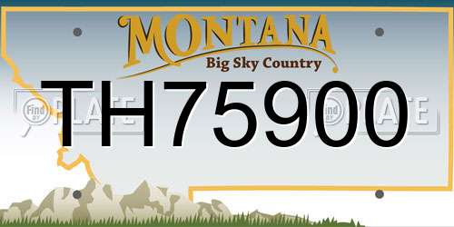 TH75900 Montana License Plate