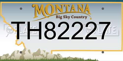 TH82227 Montana License Plate