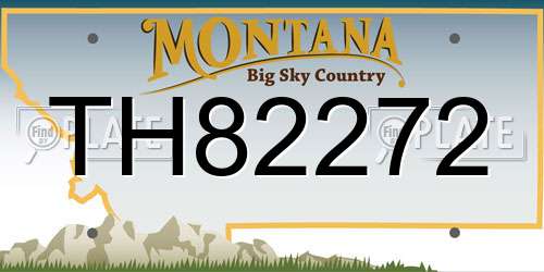 TH82272 Montana License Plate