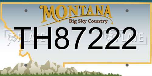 TH87222 Montana License Plate