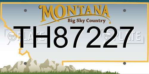 TH87227 Montana License Plate