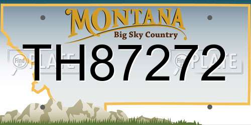 TH87272 Montana License Plate