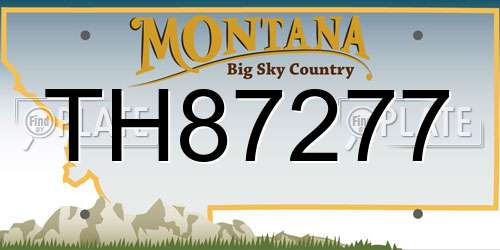 TH87277 Montana License Plate