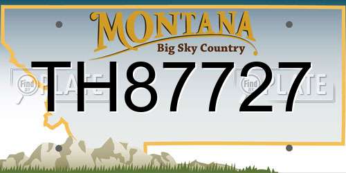 TH87727 Montana License Plate