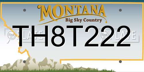 TH8T222 Montana License Plate