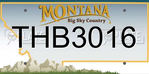 THB3016 Montana License Plate