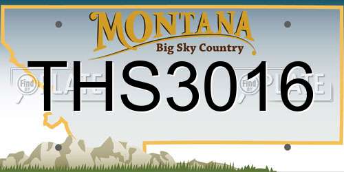 THS3016 Montana License Plate