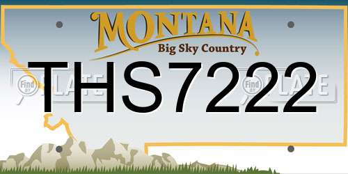 THS7222 Montana License Plate