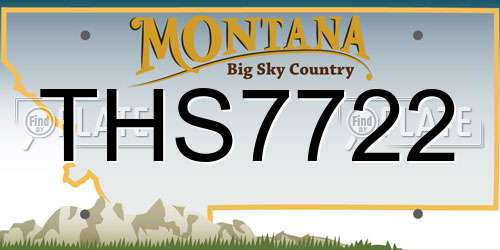 THS7722 Montana License Plate