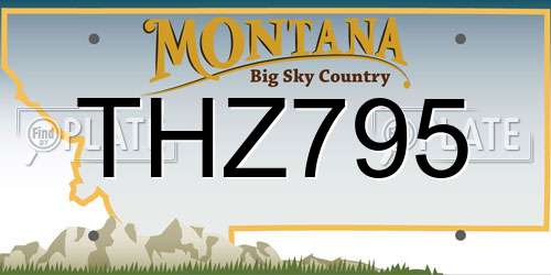 THZ795 Montana License Plate