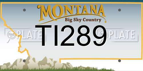 TI289 Montana License Plate