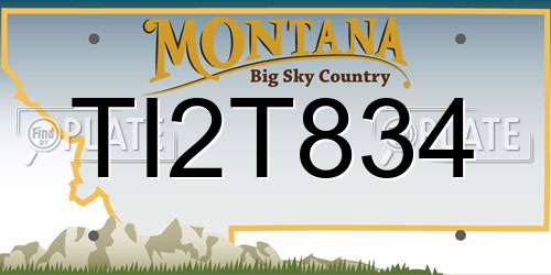 TI2T834 Montana License Plate