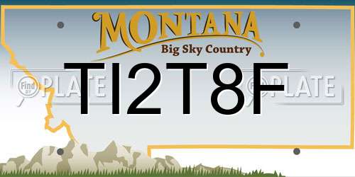 TI2T8F Montana License Plate