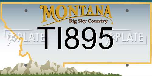 TI895 Montana License Plate