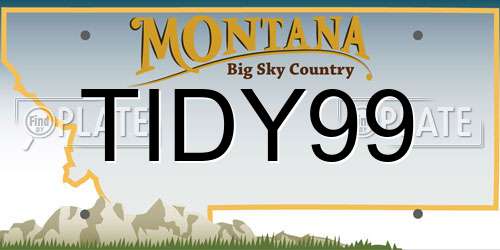 TIDY99 Montana License Plate