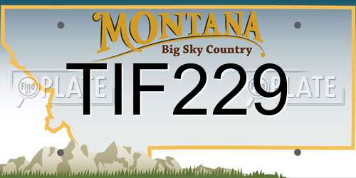 TIF229 Montana License Plate