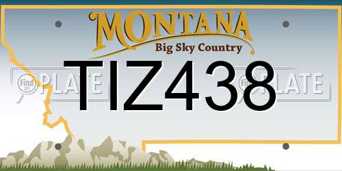 TIZ438 Montana License Plate