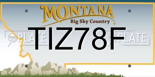 TIZ78F Montana License Plate